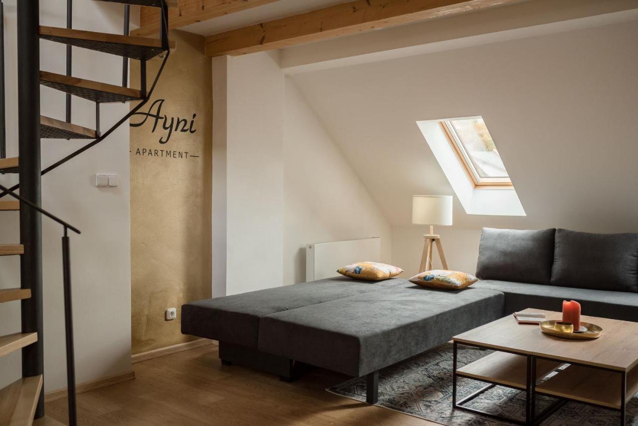 Ayni Apartman Semily Esterno foto