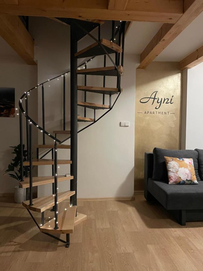 Ayni Apartman Semily Esterno foto